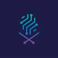 هيئة الحكومة الرقمية