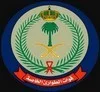 قوات الطوارئ الخاصه